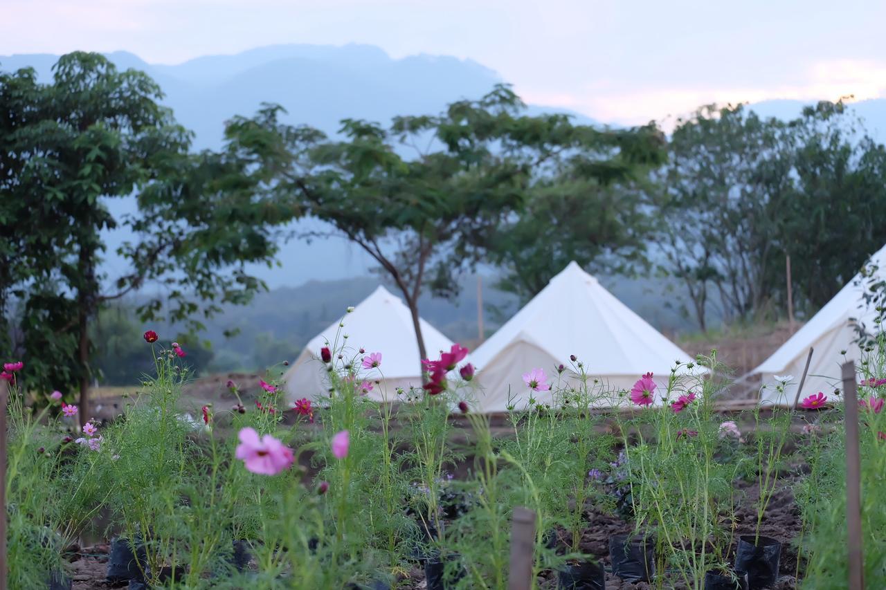 Hotel Camp Story Chiangmai Chiang Mai Esterno foto