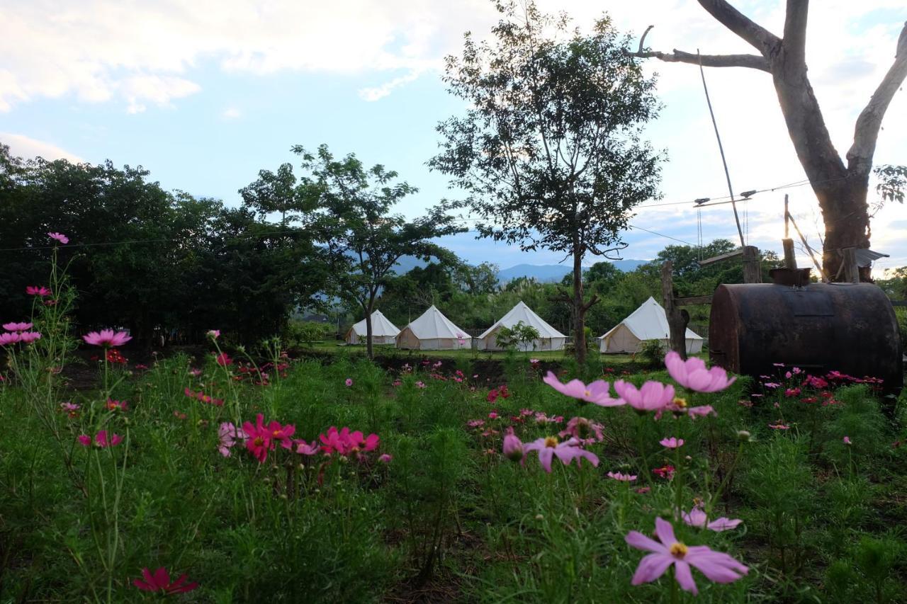 Hotel Camp Story Chiangmai Chiang Mai Esterno foto